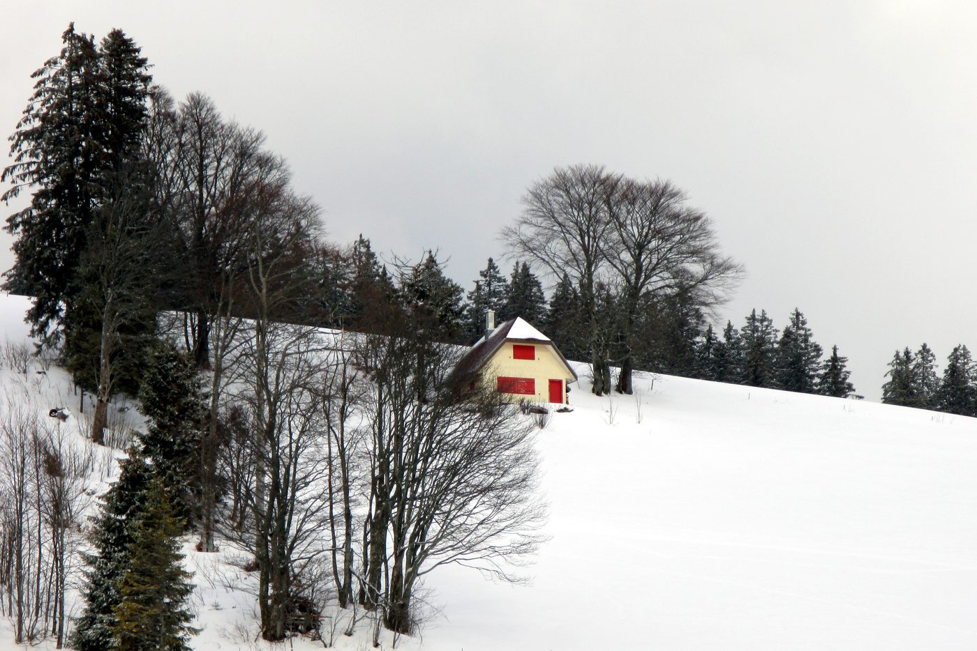 La cabane de bois de Heidegger à Todtnauberg, sur les hauteurs de la Forêt-Noire.