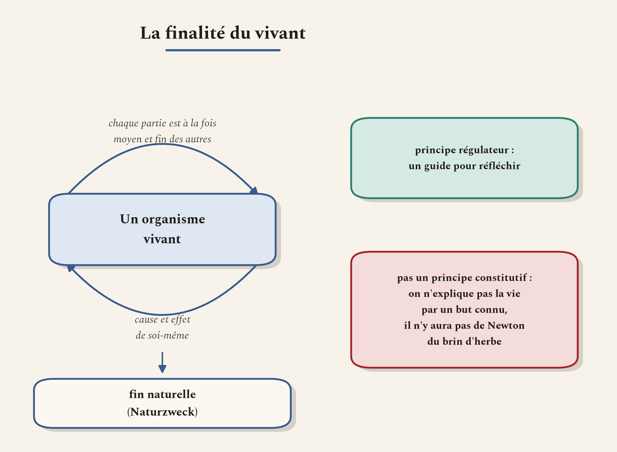 Devant le vivant, on ne peut pas ne pas penser une finalité. Mais c'est un principe pour réfléchir, non une explication.