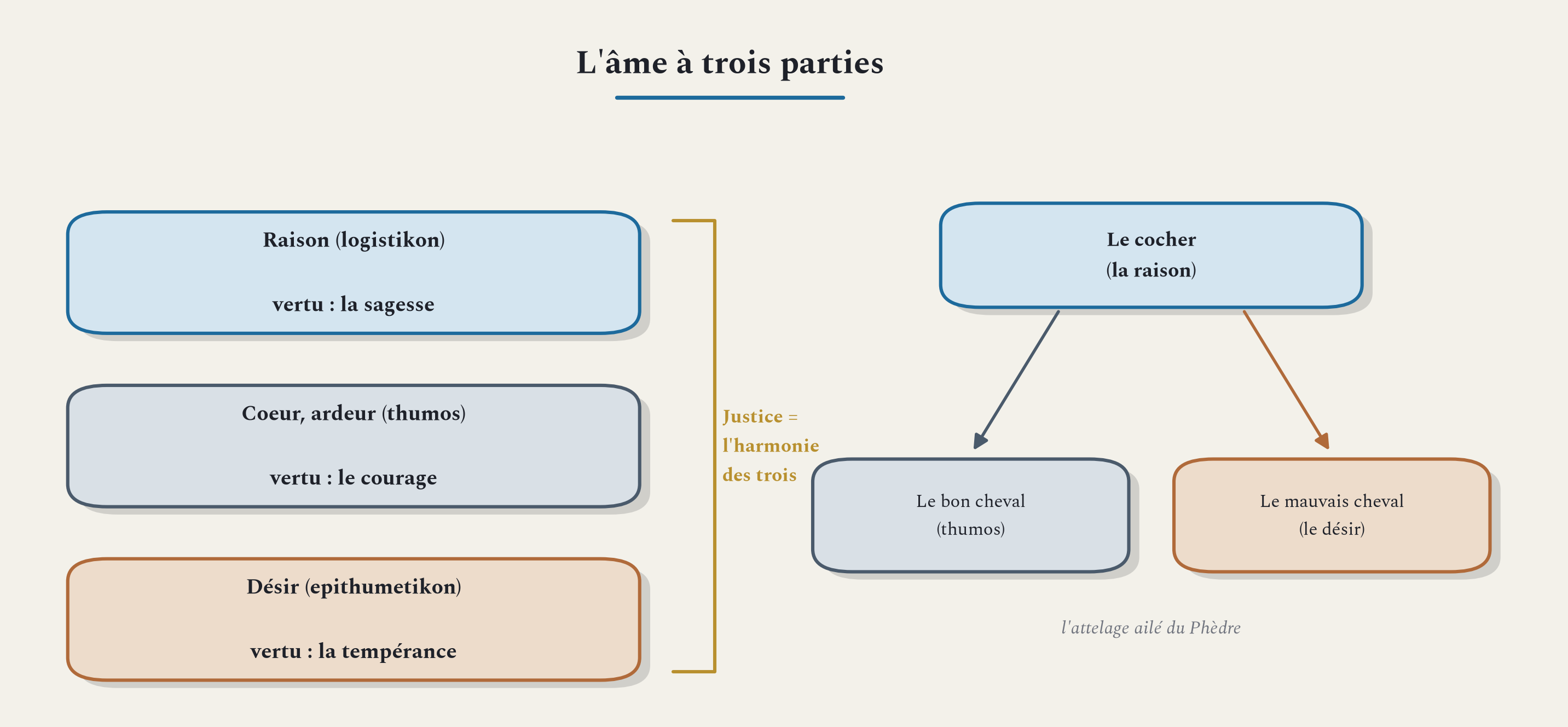 Les trois parties de l'âme, leurs vertus, et l'attelage ailé du Phèdre.