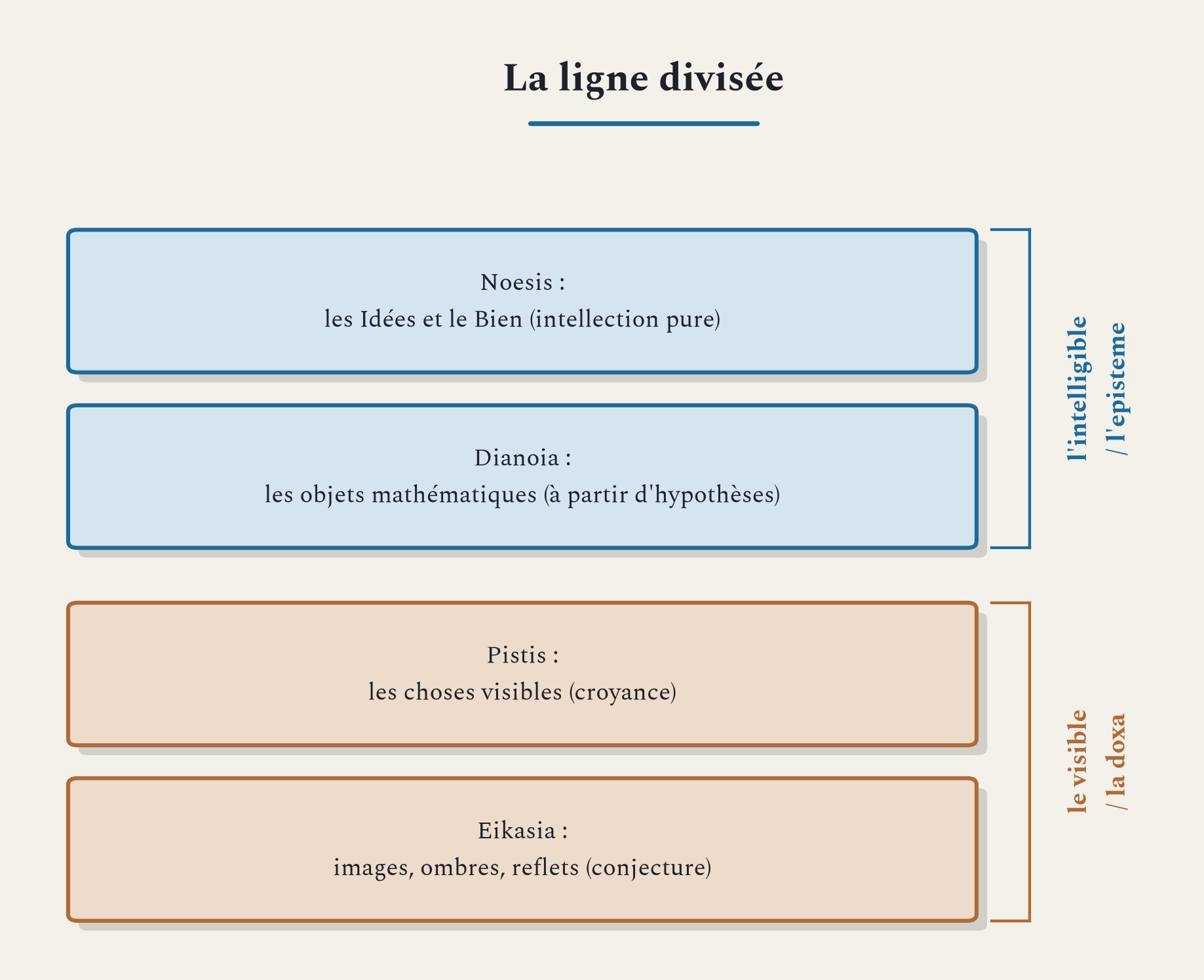 La ligne divisée : quatre degrés de connaissance, de la conjecture à l'intellection des Idées.