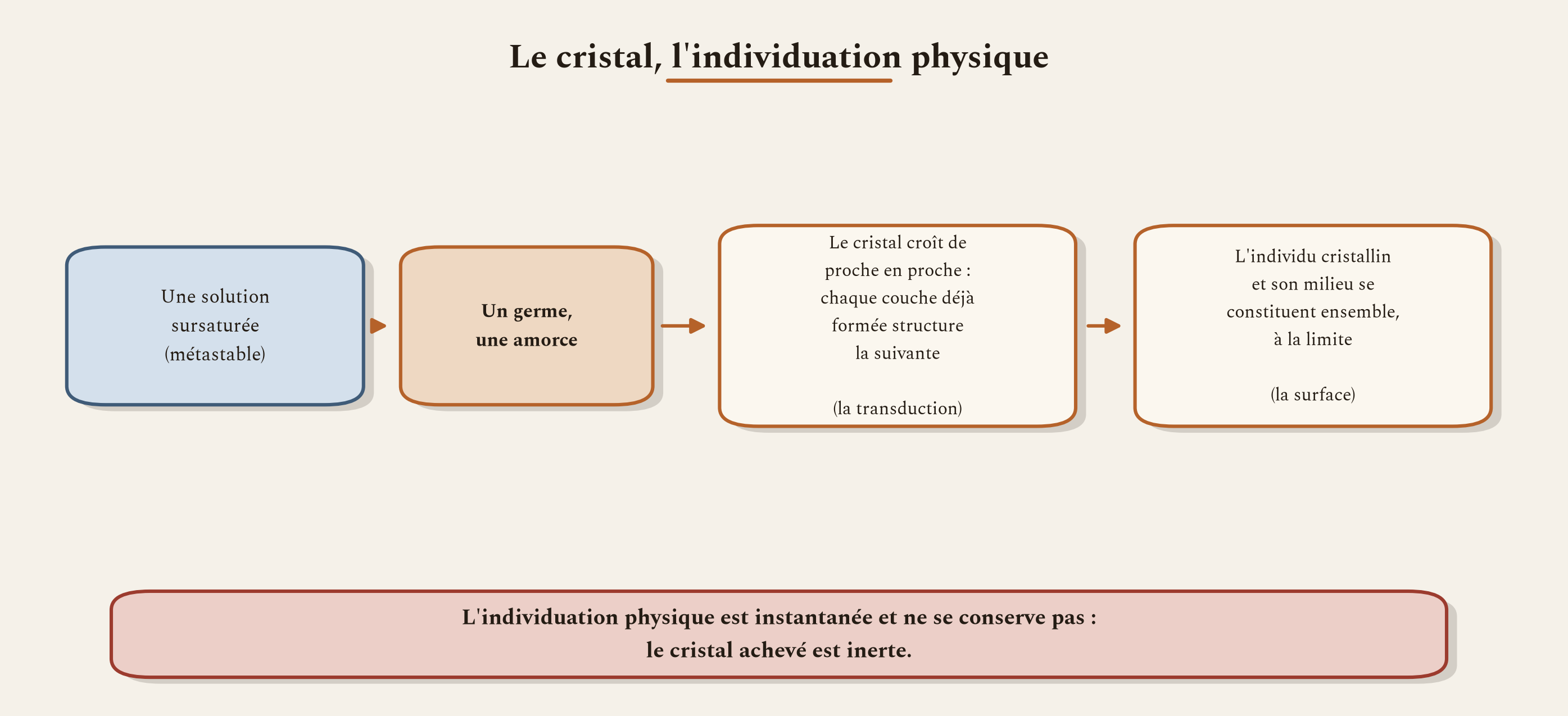 Le cristal, paradigme de l'individuation physique : un germe dans une solution sursaturée, et la croissance de proche en proche.
