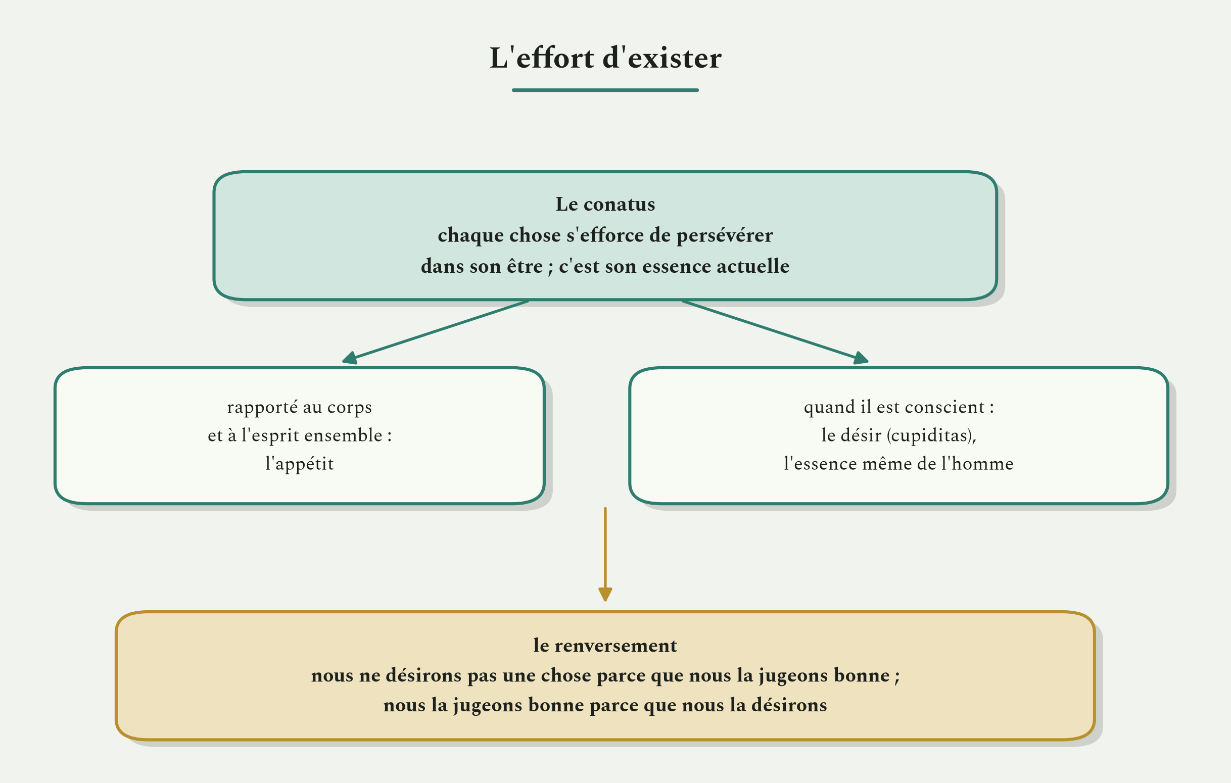 Le conatus, l'effort de persévérer dans l'être, et le renversement qu'il opère sur le jugement de valeur.