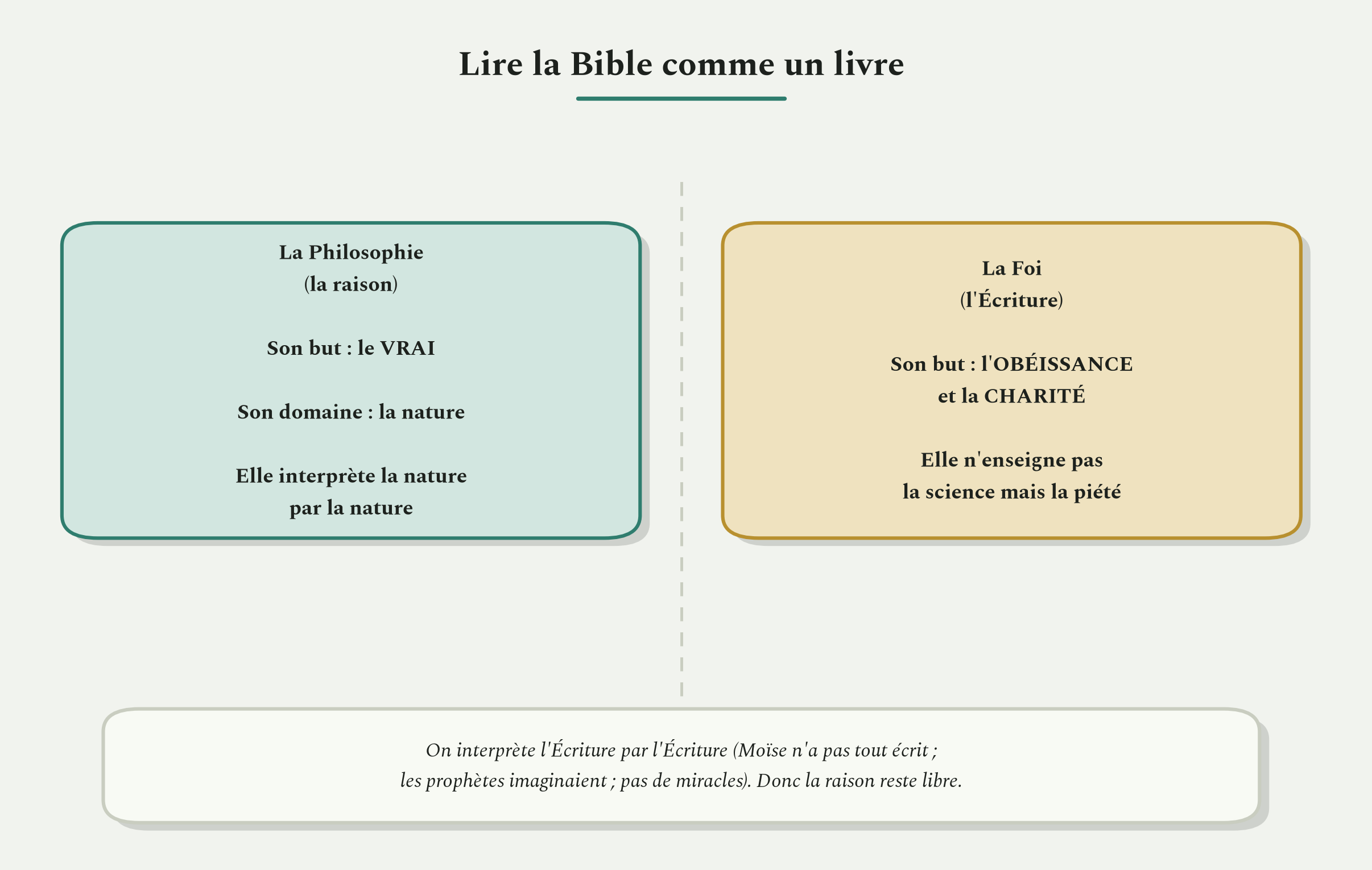La foi et la philosophie, deux domaines séparés. L'Écriture demande l'obéissance, la raison cherche le vrai.