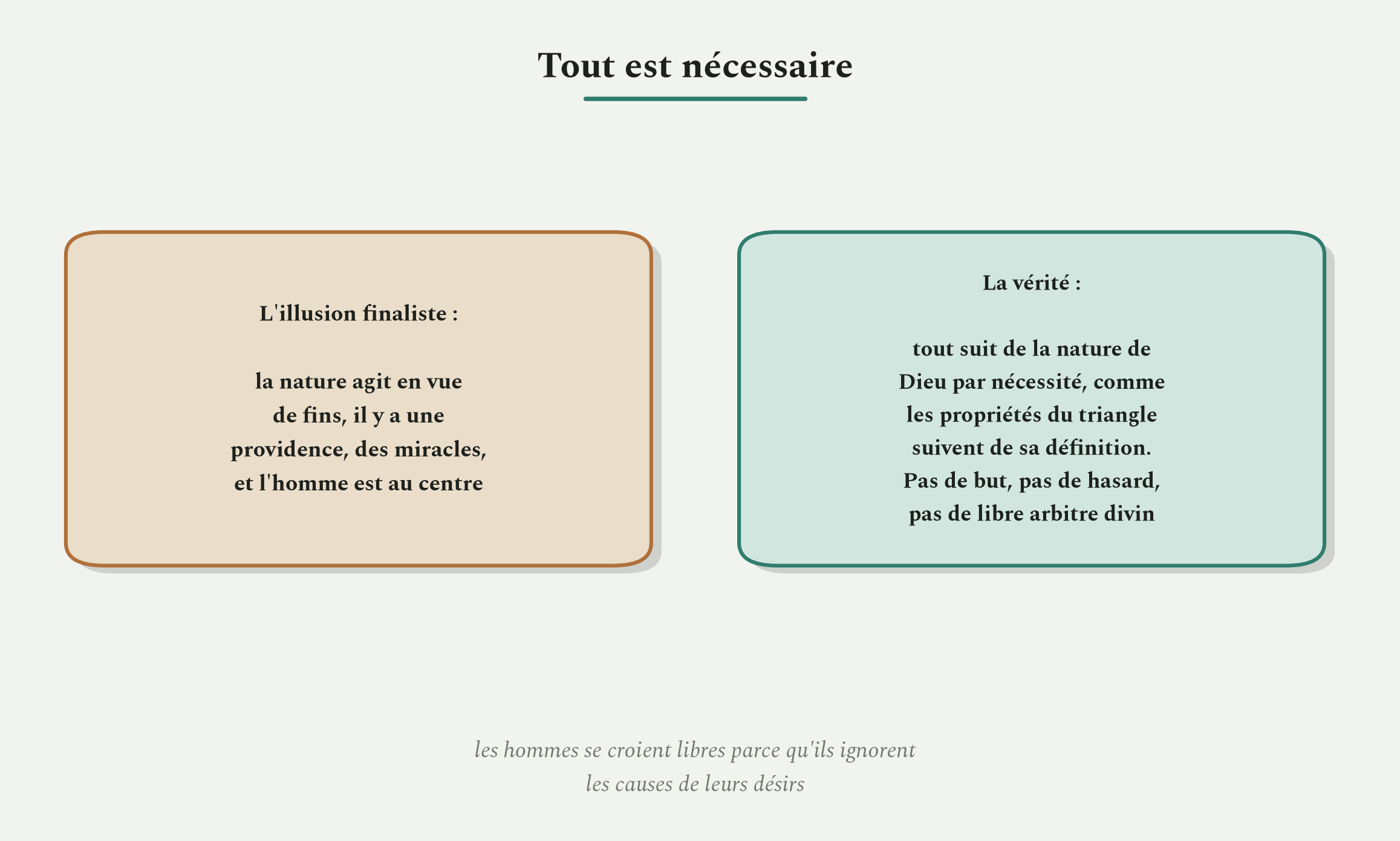 Contre l'illusion des causes finales : tout suit de la nature de Dieu avec la nécessité des propriétés du triangle.