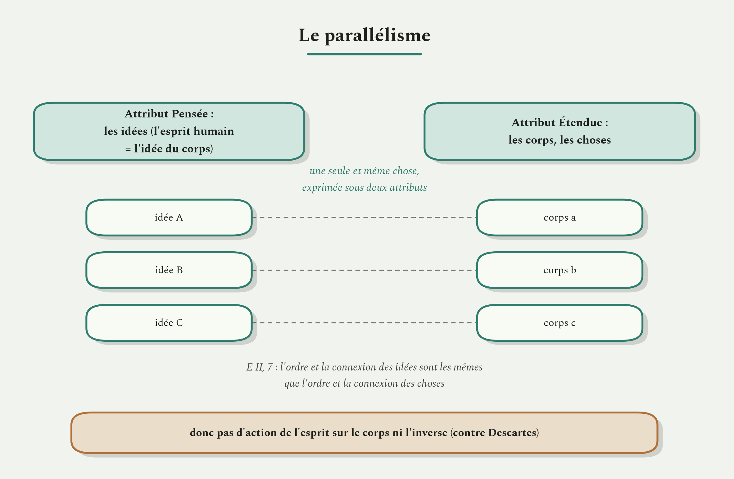 Le corps et l'esprit ne sont pas deux choses qui agiraient l'une sur l'autre, mais une seule chose vue sous deux attributs.