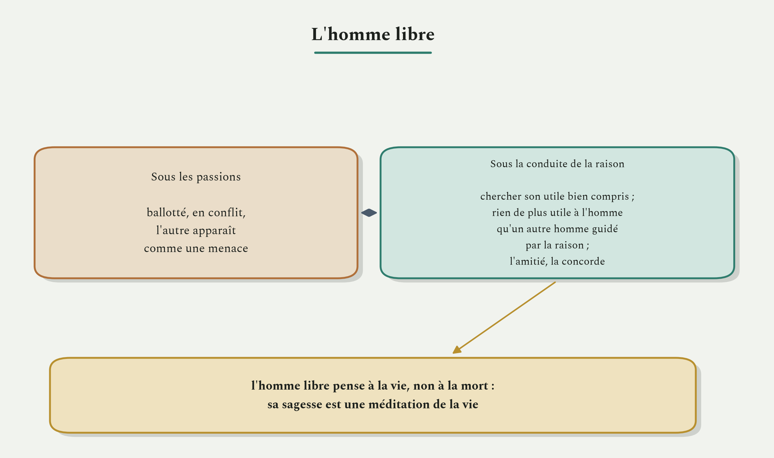 Deux manières de vivre. Sous les passions, l'autre est une menace ; sous la raison, rien n'est plus utile à l'homme qu'un homme.