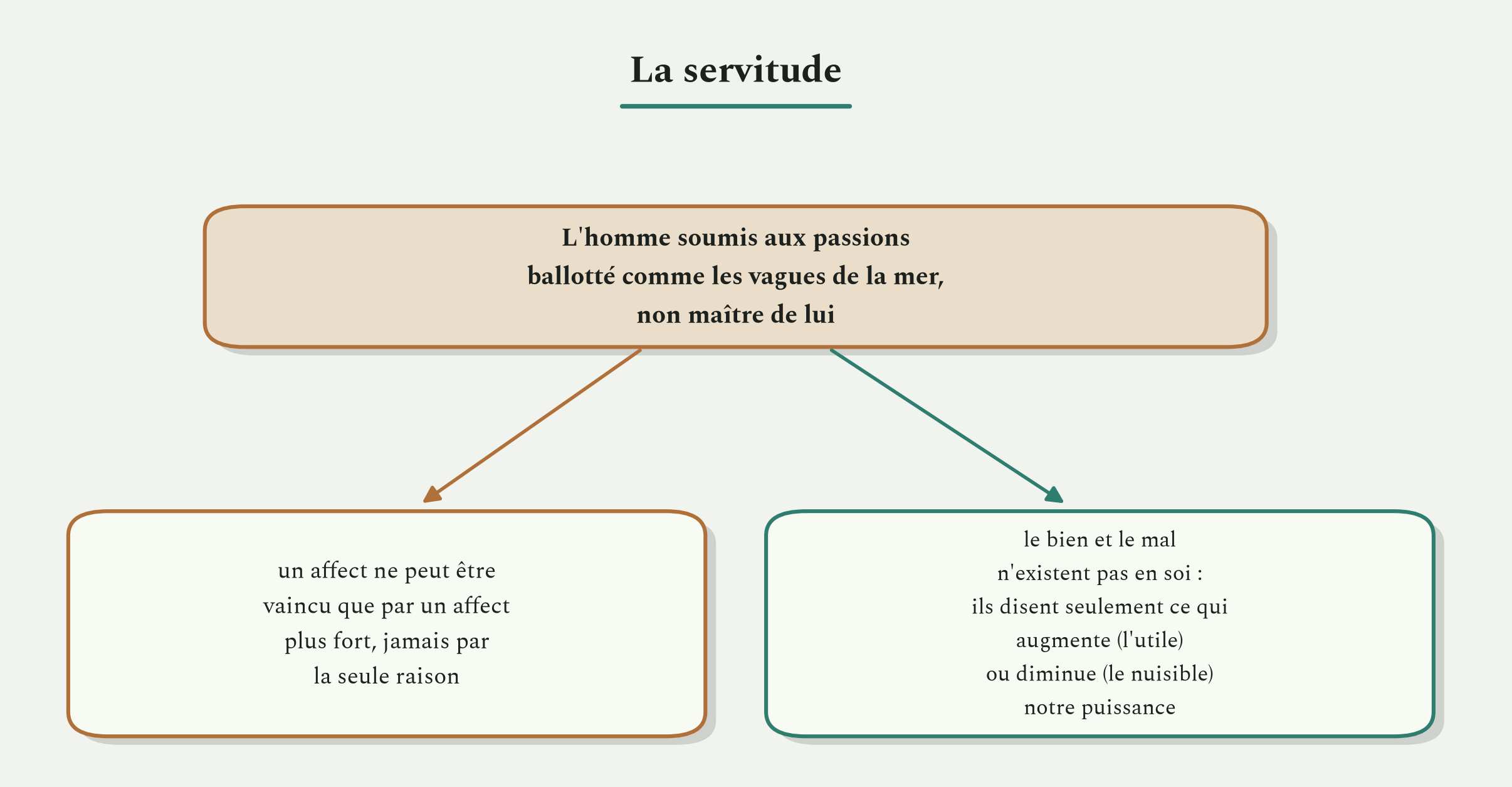 La servitude : un affect ne se vainc que par un affect plus fort, et le bien et le mal ne sont que des rapports de puissance.
