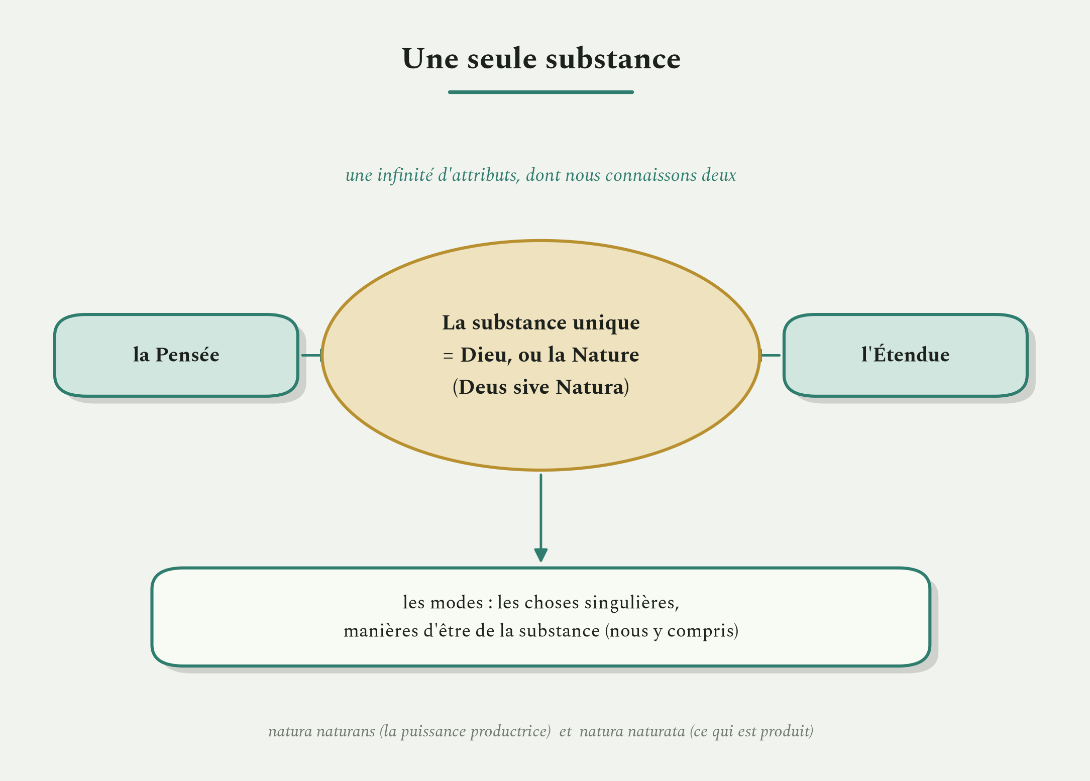 Une seule substance, Dieu ou la Nature, une infinité d'attributs dont nous connaissons deux, et les modes que nous sommes.