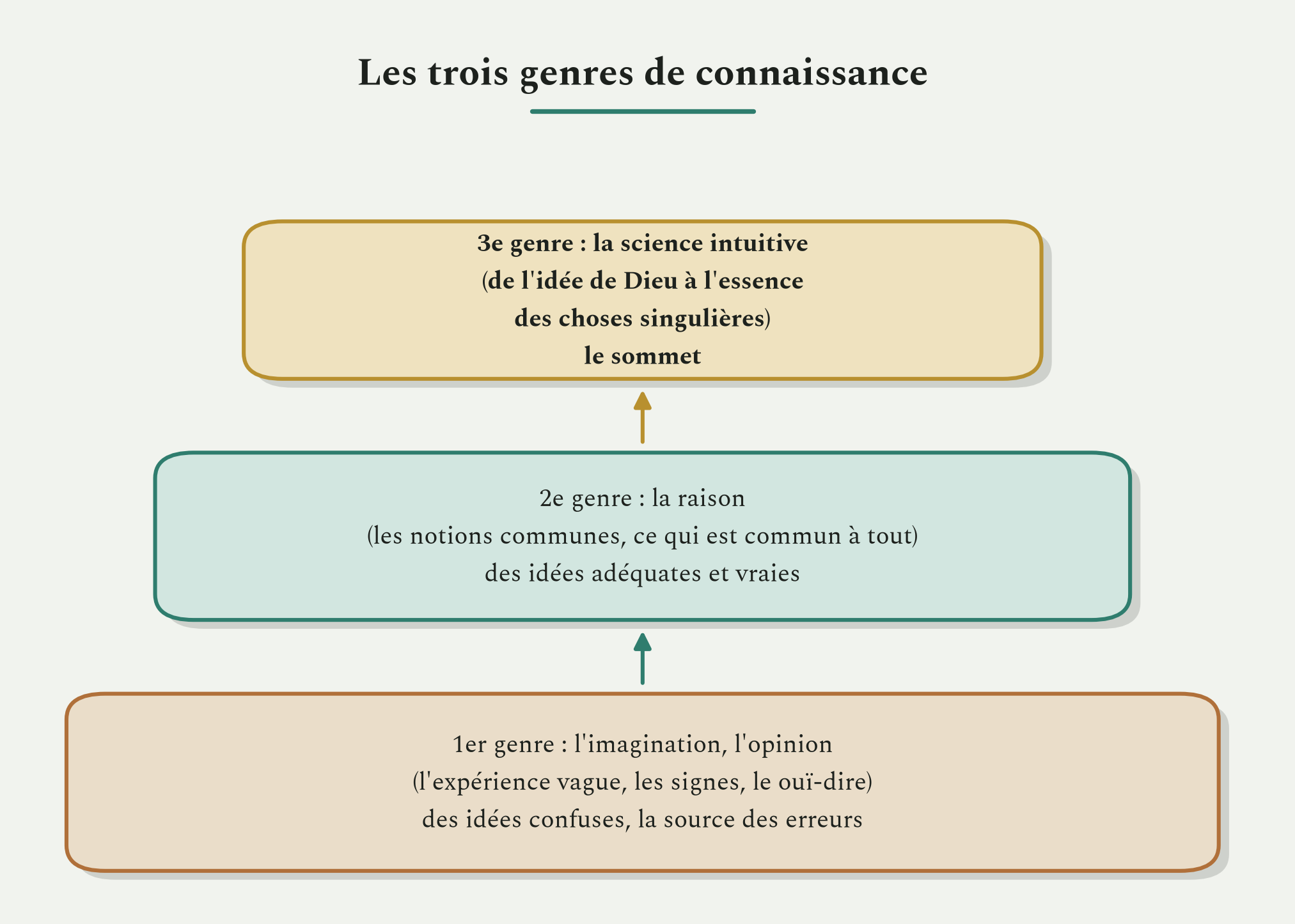 Les trois genres de connaissance, de l'imagination confuse à la science intuitive.