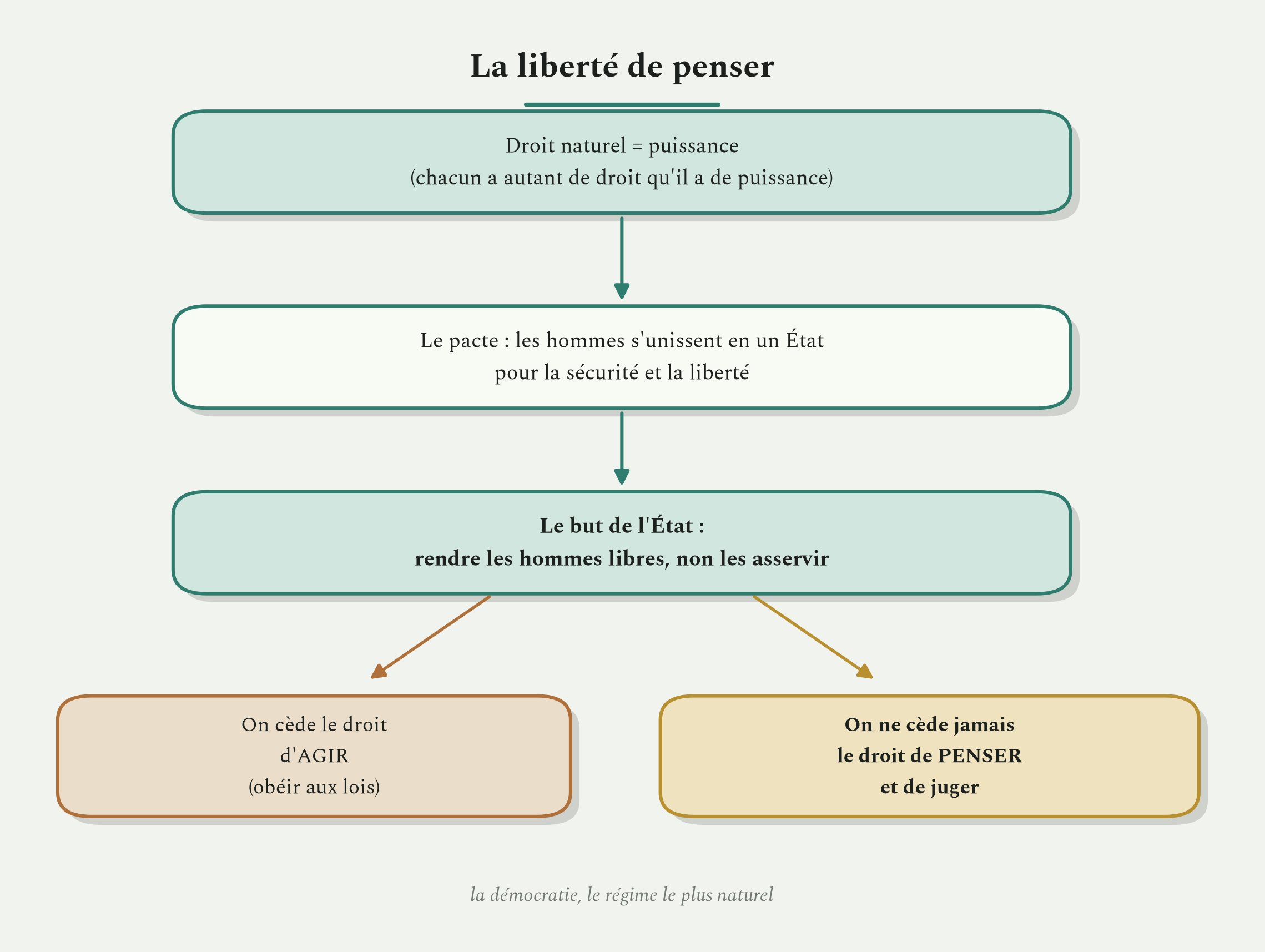 Le droit naît de la puissance, l'État vise la liberté, et nul ne cède jamais le droit de penser.