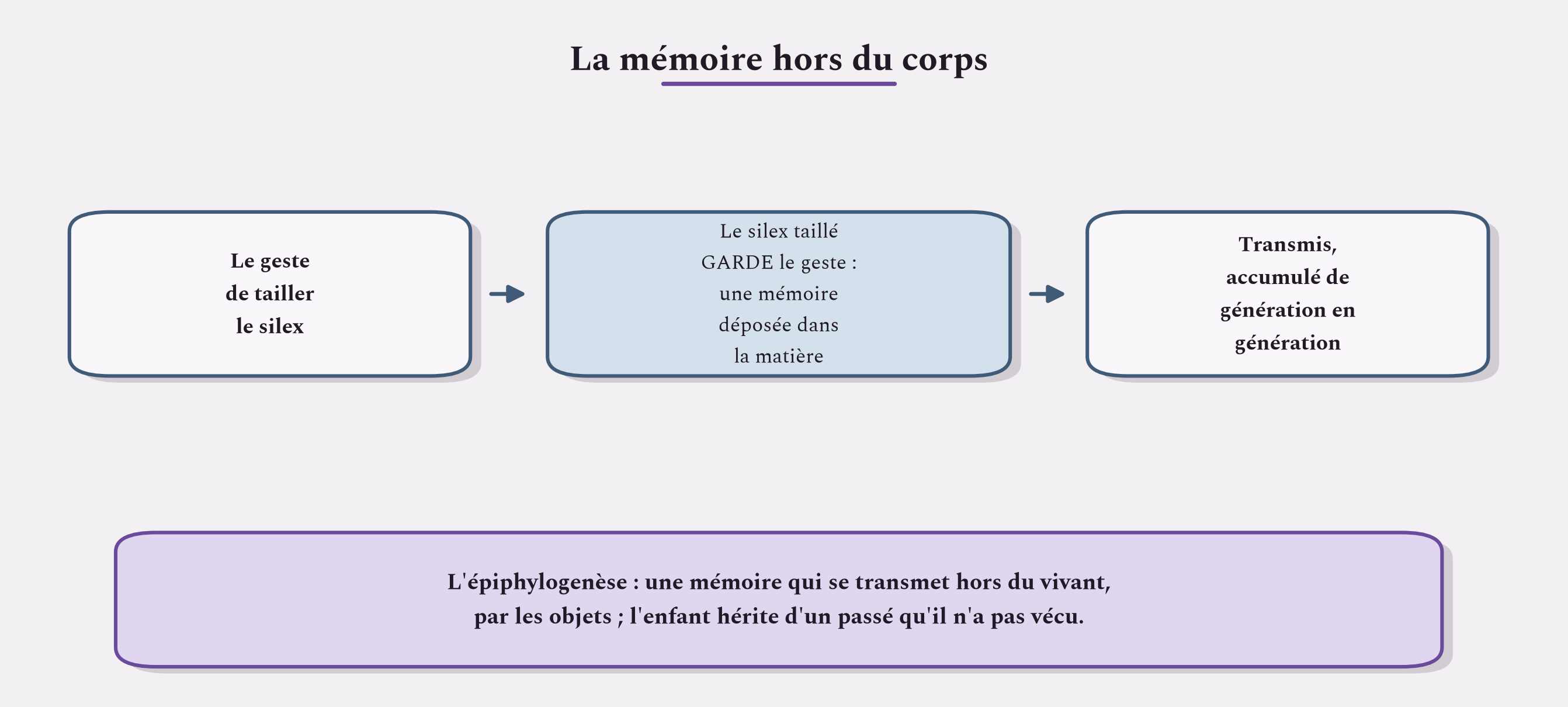 La mémoire se dépose hors du corps, dans les objets. Par l'épiphylogenèse, on hérite d'un passé qu'on n'a pas vécu.